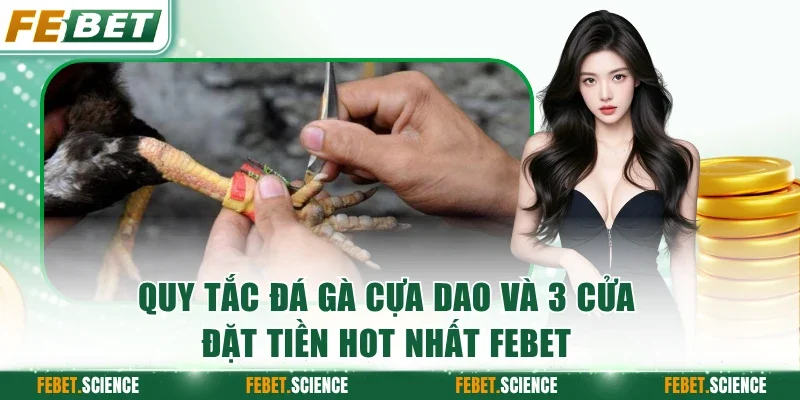 Đá Gà Cựa Dao