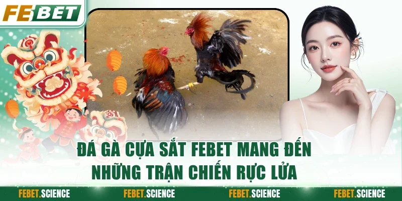 Đá Gà Cựa Sắt