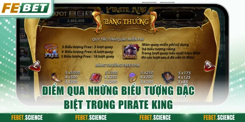Điểm qua những biểu tượng đặc biệt trong Pirate King