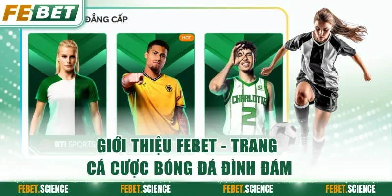 Giới thiệu FEBET về 5 danh mục giải trí hot hit nhất
