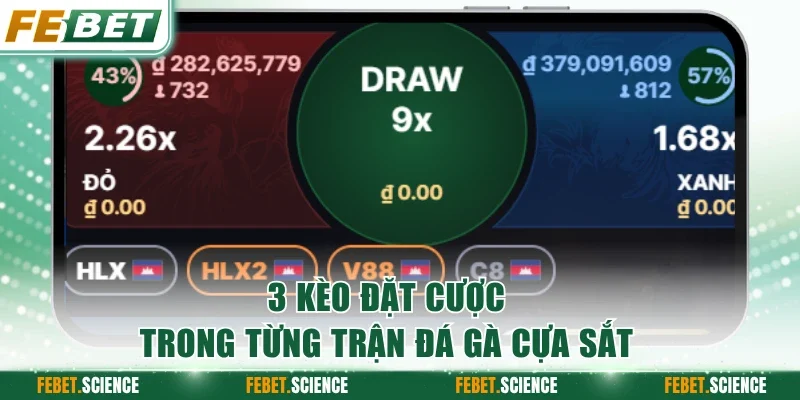 Kèo đặt cược trong từng trận đá gà cựa sắt
