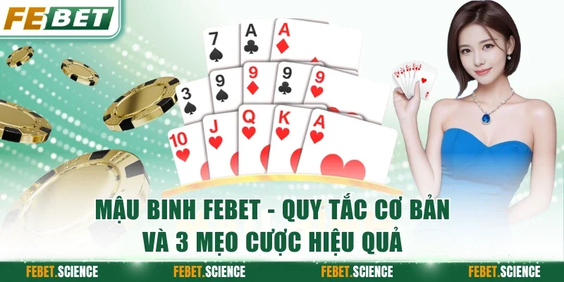 Mậu Binh FEBET
