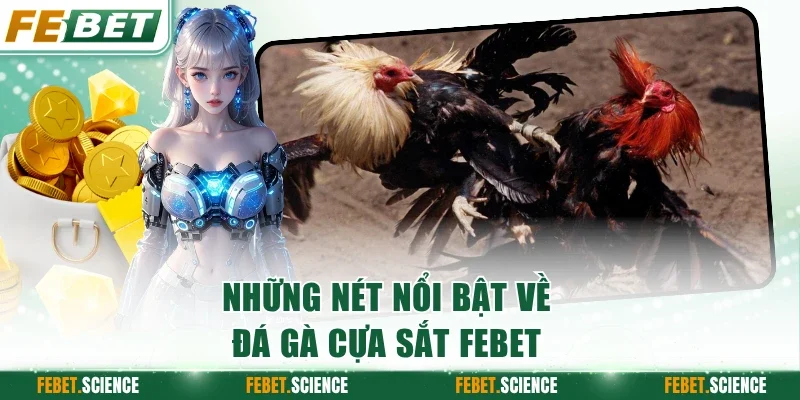 Những nét nổi bật về đá gà cựa sắt FEBET