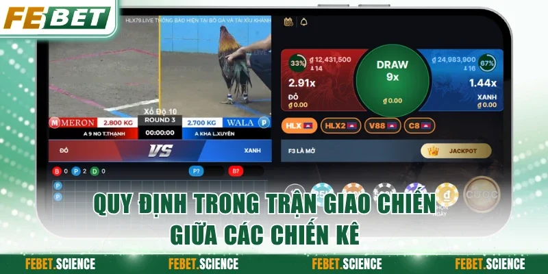 Quy định trong trận giao chiến giữa các chiến kê