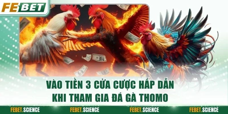 Vào tiền 3 cửa cược hấp dẫn khi tham gia các trận chọi kê Thomo